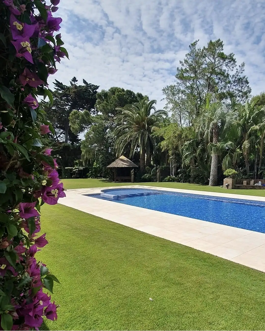 Piscina rectangular amb coronament de pedra clara en un jardí amb palmeres